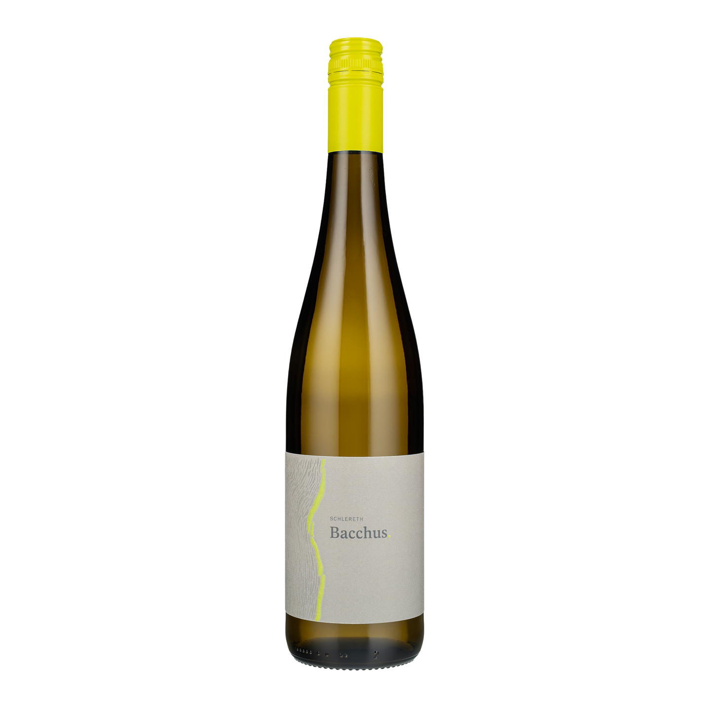 2025. Bacchus. QbA.